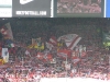 scf_bvb1 scf_bvb1