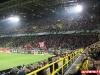 img_7146_0 img_7146_0